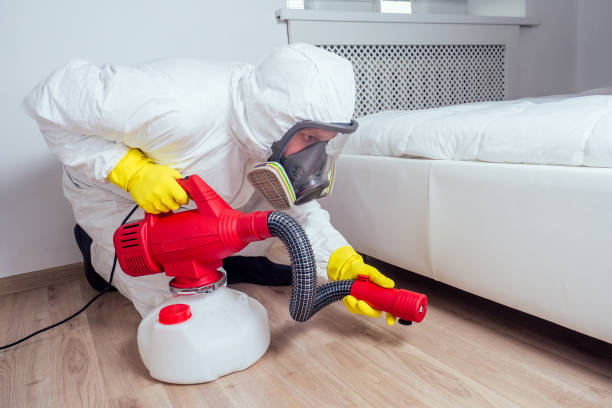 Best Pest Exclusion Services  in Manhattan Beach, CA